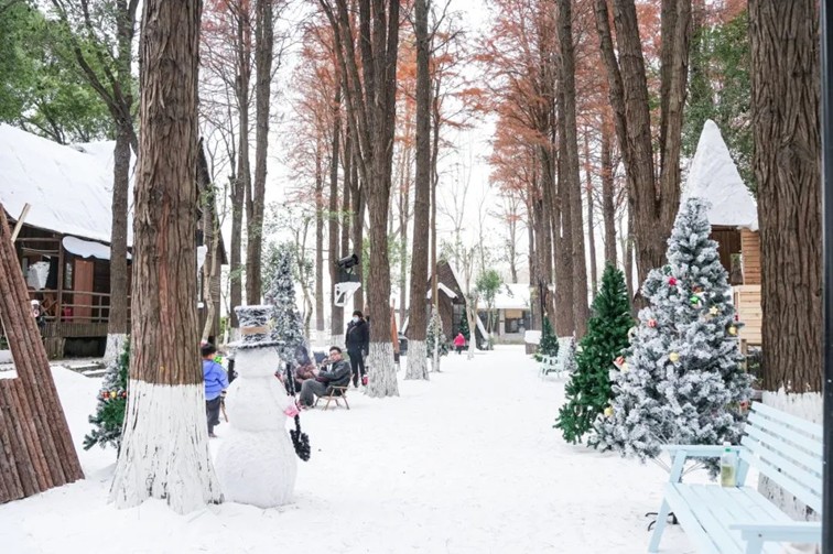 过大年·来青浦丨“蛇”我其谁~青浦近50场新春活动等你“过·来”玩！