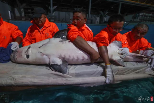 屏幕捕获_2024_10_10_09_26_20_603.png 屏幕捕获_2024_10_10_09_26_20_603.png