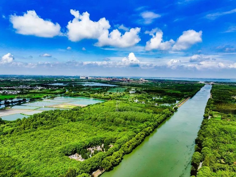 追风少年的春日漫游指南,带你邂逅青浦的N种风情! 追风少年的春日漫游指南,带你邂逅青浦的N种风情!