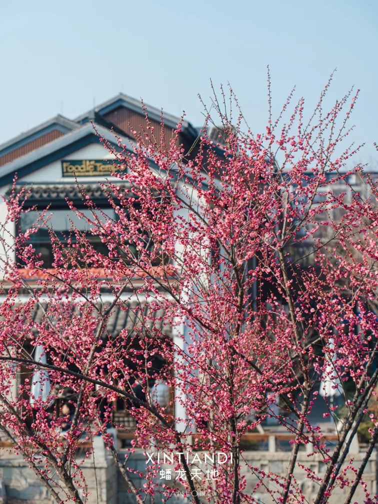 318青浦旅游日丨春日限定！青浦几大商场各出奇招，邀你和春光碰头！