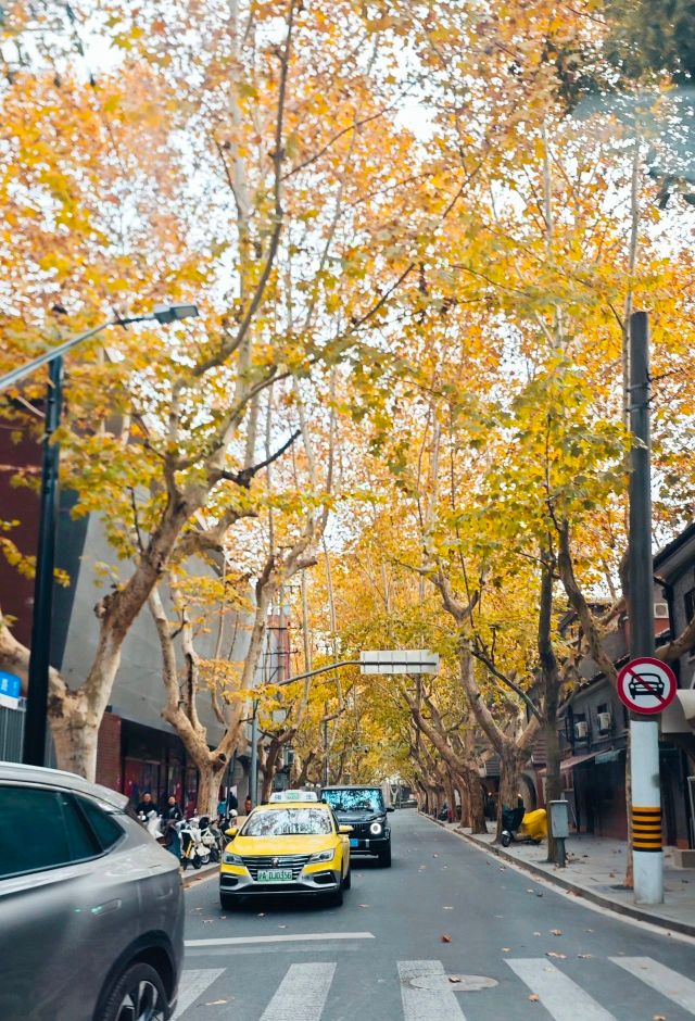 1216_130657_422.jpg 微信图片_2024-12-16_130521_737.png