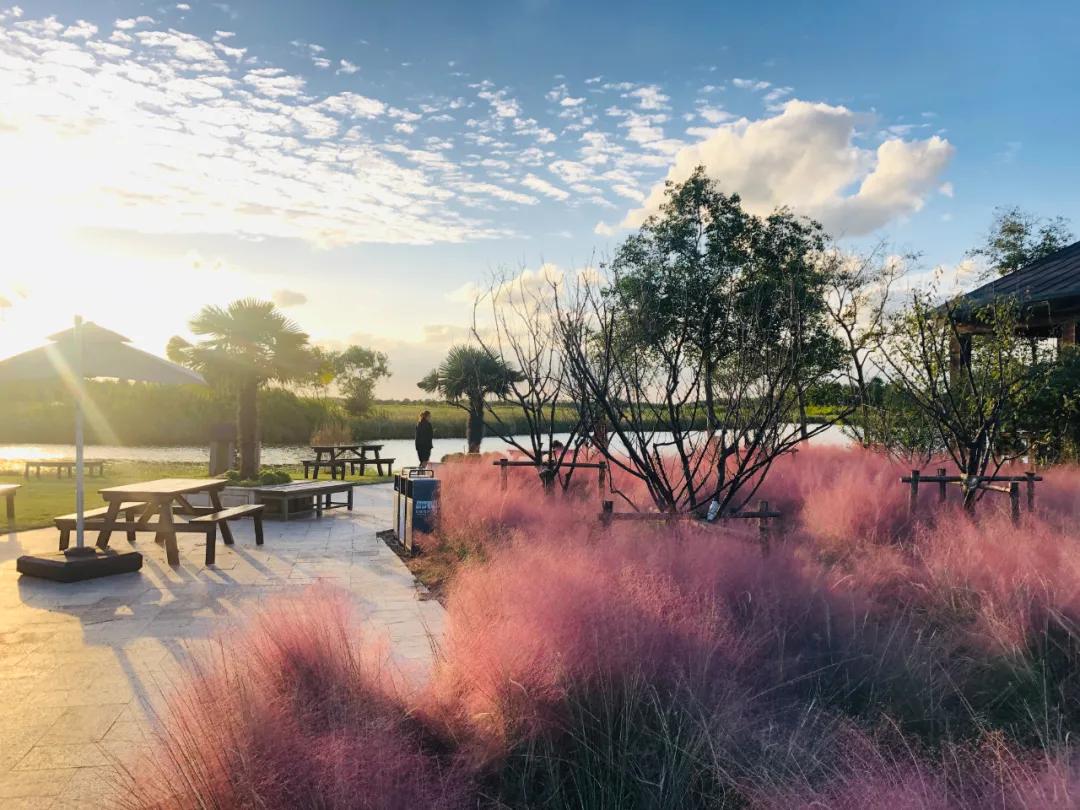 20240930144729056662.jpg 图片13.jpg