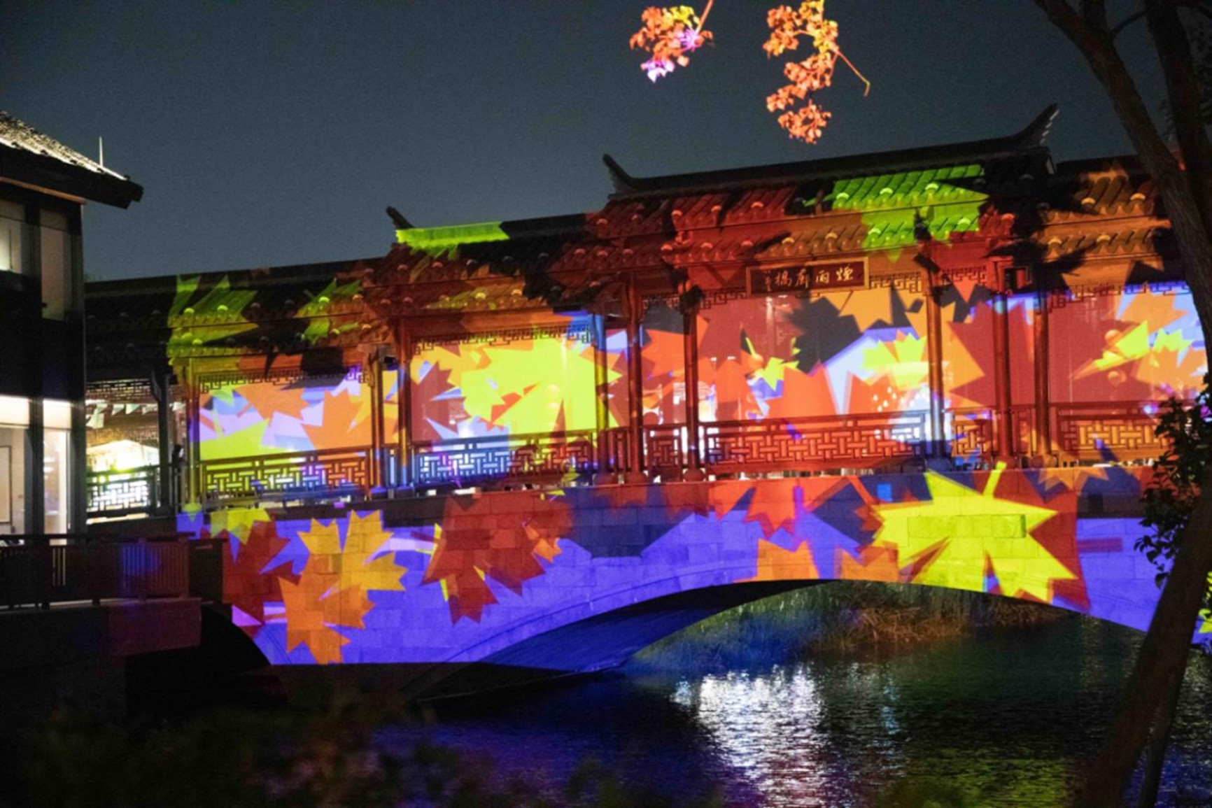 来青浦,捕捉水中秋色,寻觅“时光溢彩” 来青浦,捕捉水中秋色,寻觅“时光溢彩”