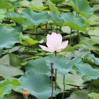 0722_121327_283.jpg 640 (4).jpg