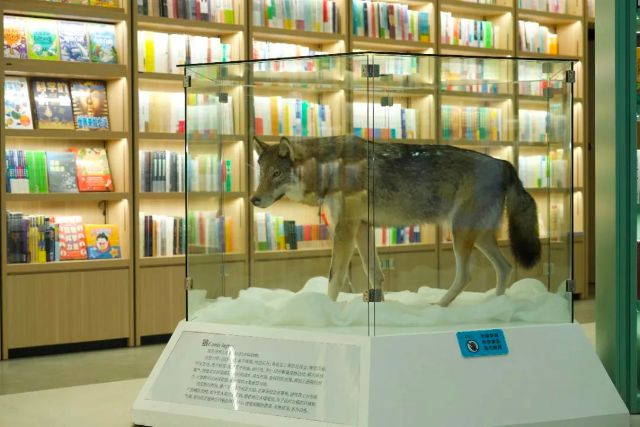 0920_143249_693.jpg 7.jpg