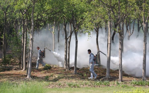 上海市成功举办“2025年上海市林业生物灾害防控宣传周启动仪式暨林业有害生物防控演练”活动8.jpg 上海市成功举办“2025年上海市林业生物灾害防控宣传周启动仪式暨林业有害生物防控演练”活动8.jpg