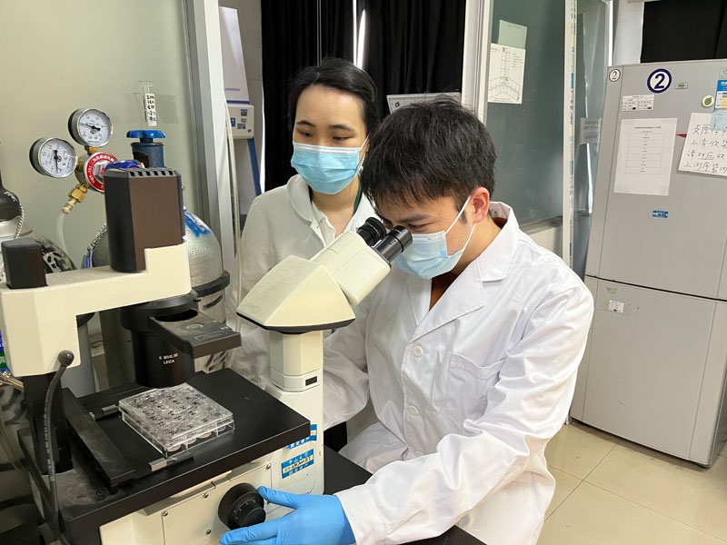 10月20日,广东中山大学中山医学院博士研究生张贤涛(右)在实验室。.jpg 10月20日,广东中山大学中山医学院博士研究生张贤涛(右)在实验室。.jpg