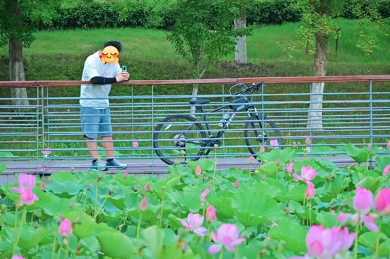 2026逛青浦环城水系公园指南