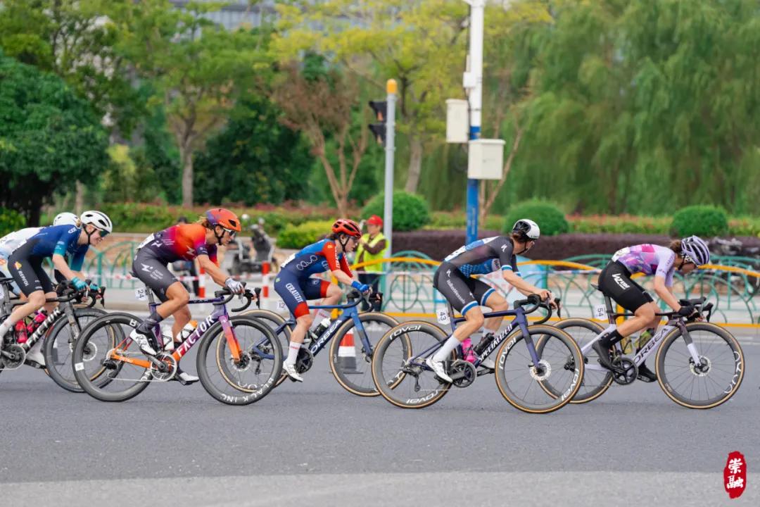 图片8.jpg 图片8.jpg