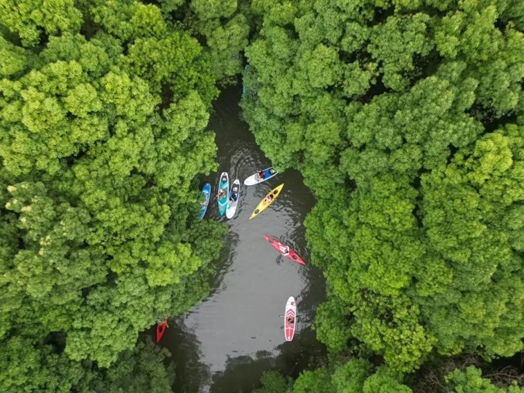 跟着半马游青浦｜收藏！带你玩转线路周边吃喝玩乐全攻略！