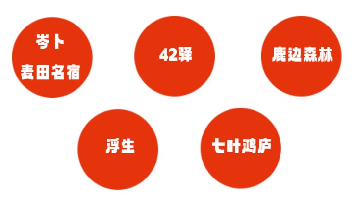 报名，2025年青浦区元旦迎新徒步活动，走起来！