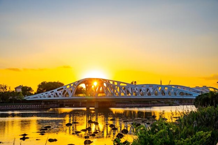 冬日“沪”水游，青浦新城：冬境绮梦，水韵流长