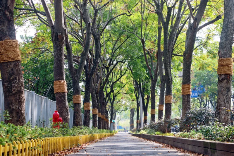 图片 16.png 图片 16.png