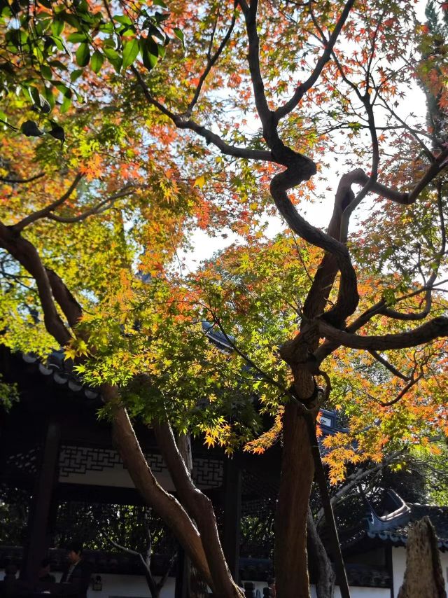 1216_150217_306.jpg 微信图片_2024-12-16_135316_825.png