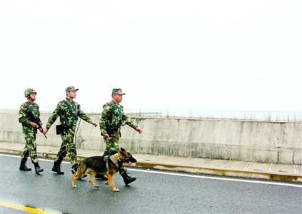 青草沙水库：51名战士的守护