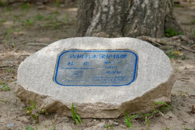 0206_140755_671.jpg 微信图片_2025-02-06_104954_047.png