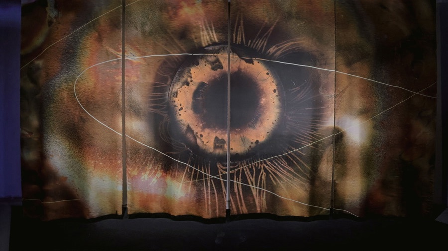 罗希尼·德瓦舍作品《潜在场域》。 均 资料图片.jpeg 罗希尼·德瓦舍作品《潜在场域》。 均 资料图片.jpeg