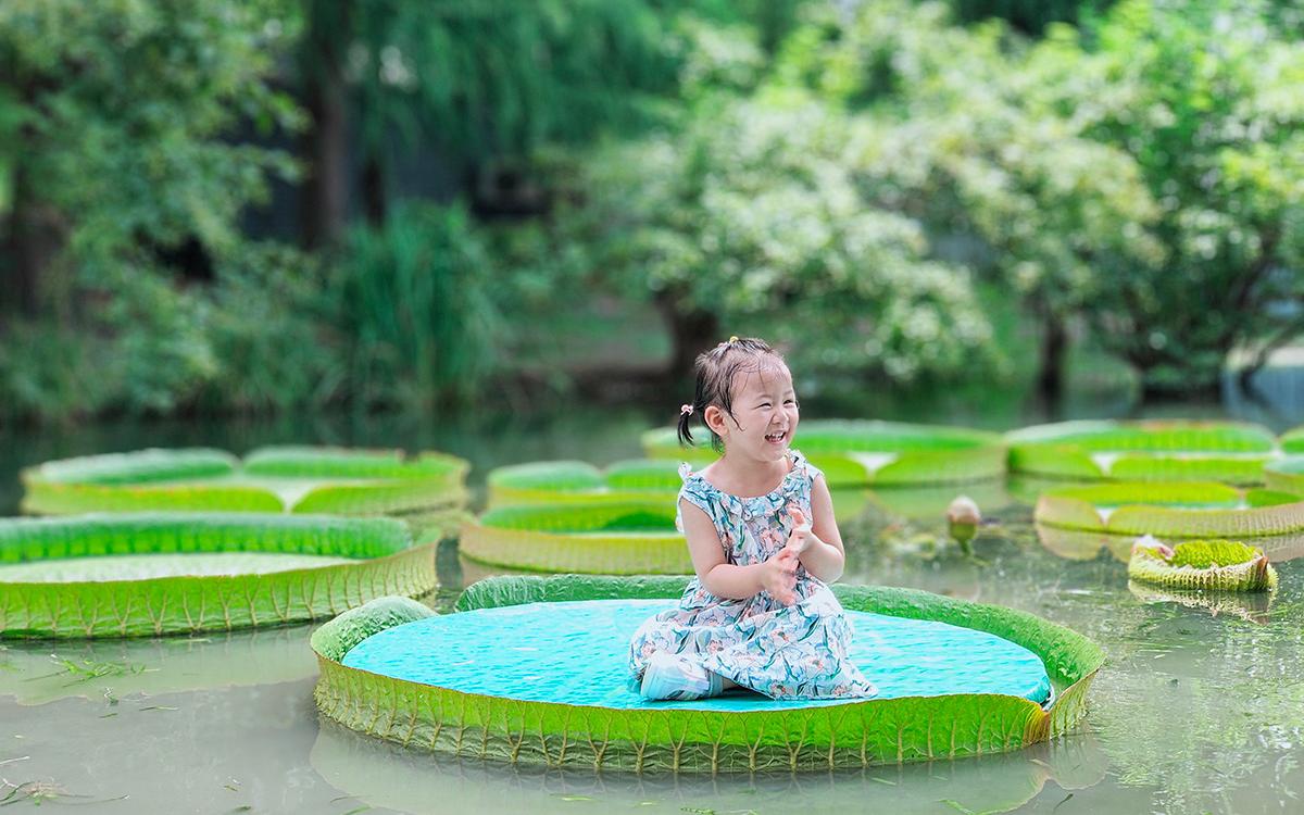 辰山 “百变萌娃坐王莲”活动顺利开展 (1).jpg 辰山 “百变萌娃坐王莲”活动顺利开展 (1).jpg