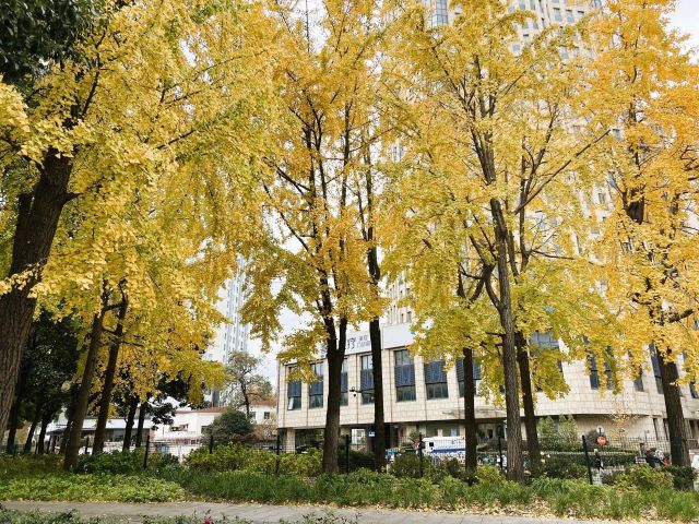 1216_131237_461.jpg 微信图片_2024-12-16_130606_120.png