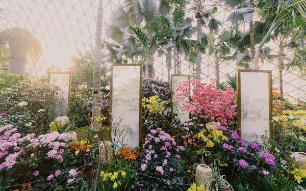 花影穿屏 (4).jpg 花影穿屏 (4).jpg