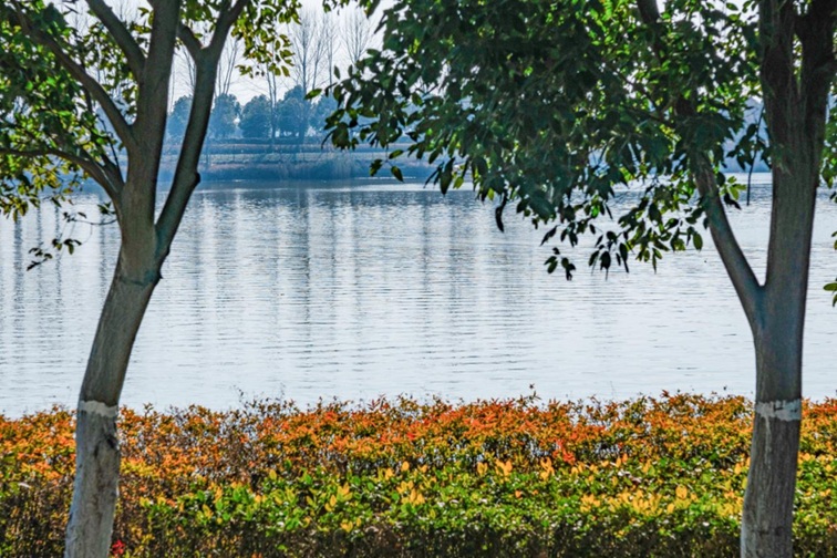 来青浦,骑行在青西“大河大湖”,太酷了! 来青浦,骑行在青西“大河大湖”,太酷了!