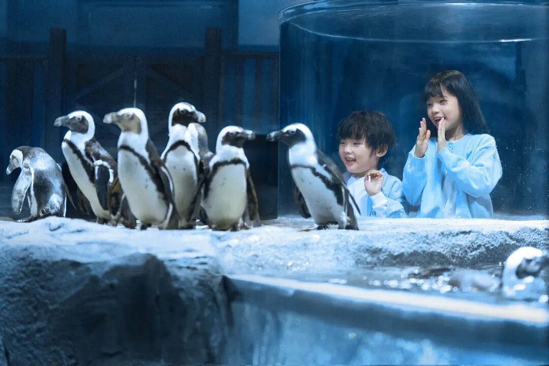 640 (3).jpg 640 (3).jpg