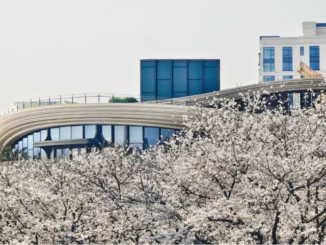 0328_113901_651.jpg 微信图片_2025-03-28_113943_700.jpg