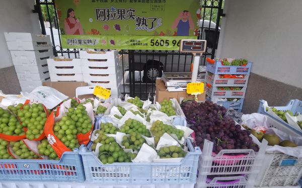 “阿拉果实熟了”——2025年夏季果品进公园首个周末现场推介火热4.jpg “阿拉果实熟了”——2025年夏季果品进公园首个周末现场推介火热4.jpg