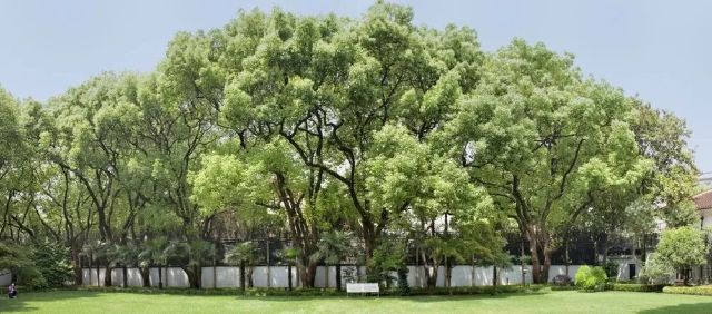 0206_140524_925.jpg 微信图片_2025-02-06_104946_024.png