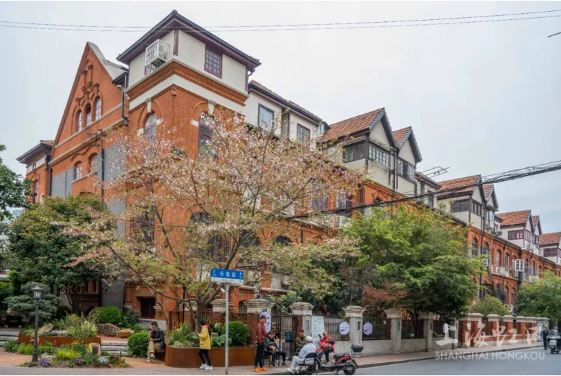 20241008082407096016.png image.png