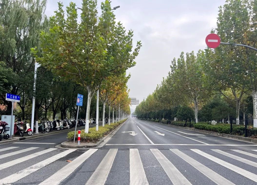 2024长三角·青浦新城半程马拉松赛交通管制公告