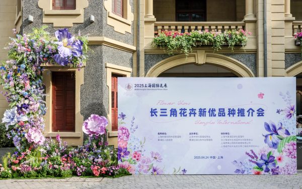 会议背景板.jpg 会议背景板.jpg