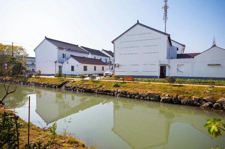 江南春景水一半，12处小流域绘青浦生态美域