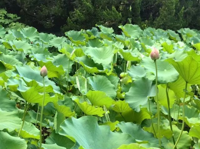 0722_121357_308.jpg 640 (11).jpg