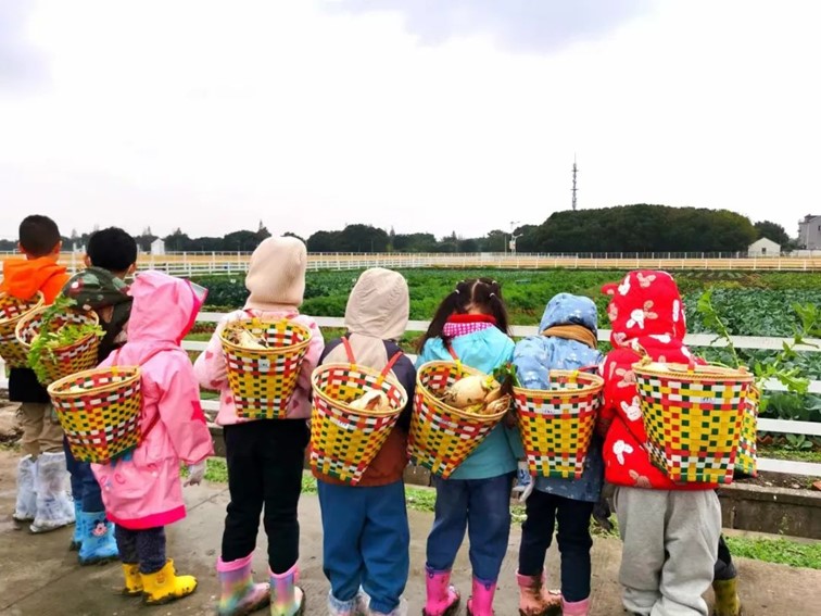 香满秋·一起游丨去青浦来场CountryWalk，遇见金秋盛景！