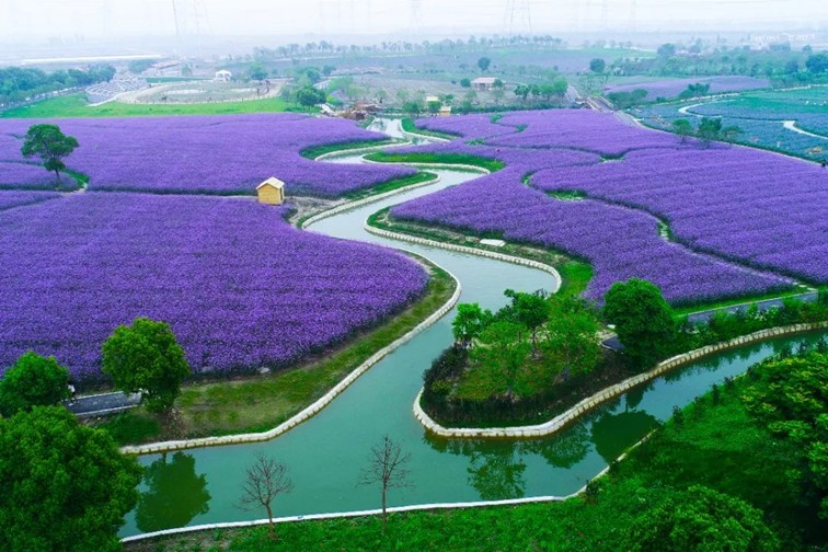 江南春景水一半，12处小流域绘青浦生态美域