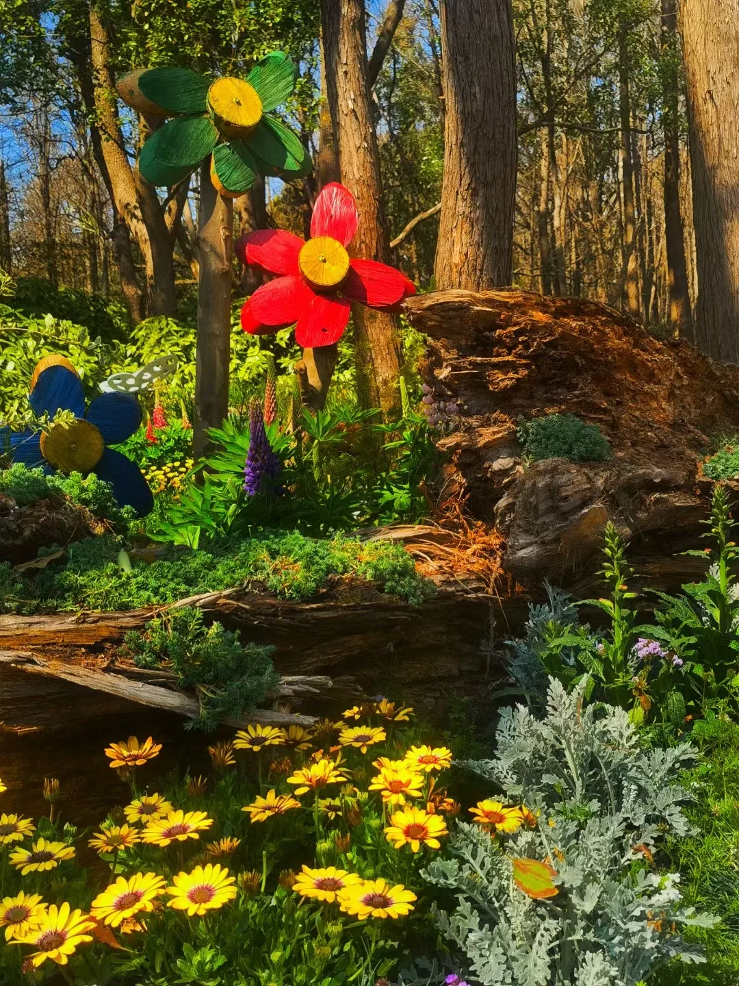 图片 4.png 图片 4.png