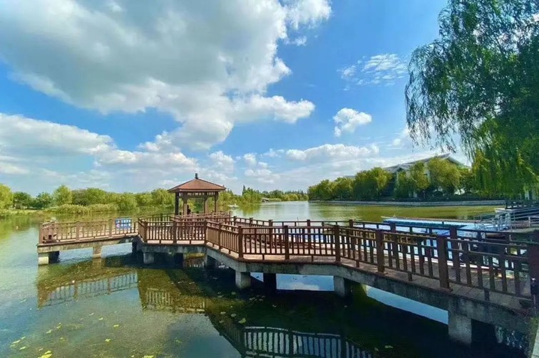 江南梅花季丨“梅”美与共！住在青浦花影中，盼君缓缓归矣