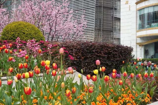 0307_144532_543.jpg 微信图片_2025-03-07_103638_677.jpg