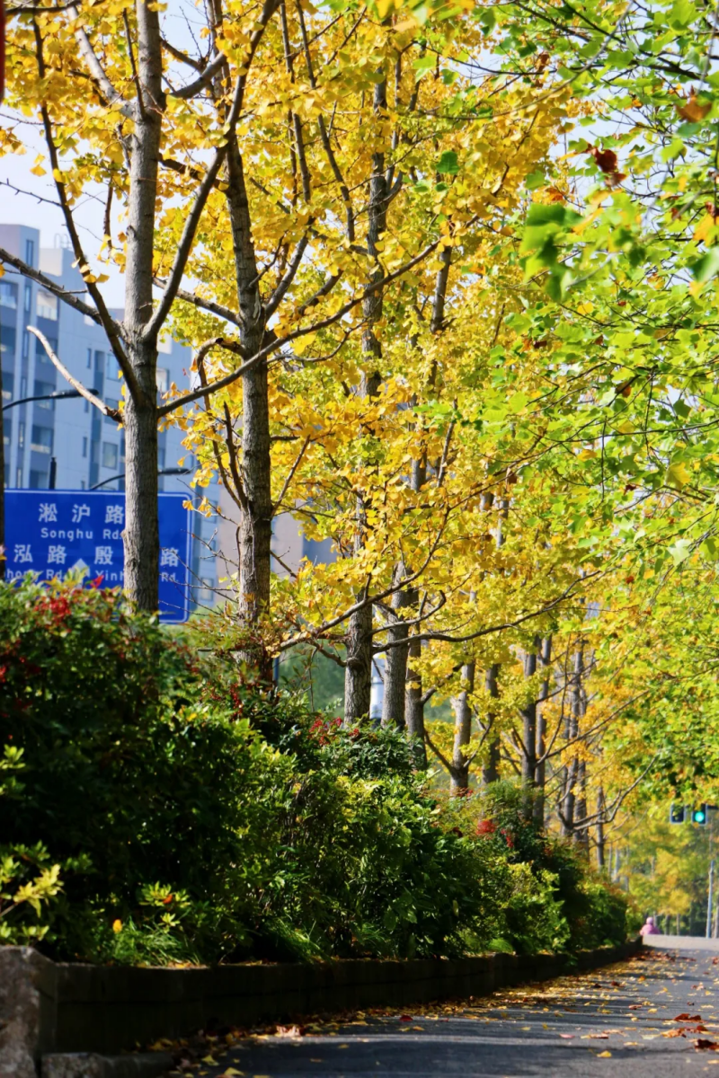 图片 23.png 图片 23.png