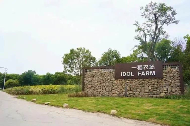 香满秋·一起游丨去青浦来场CountryWalk，遇见金秋盛景！