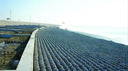 青草沙水源地涵养林开建 青草沙水源地涵养林开建