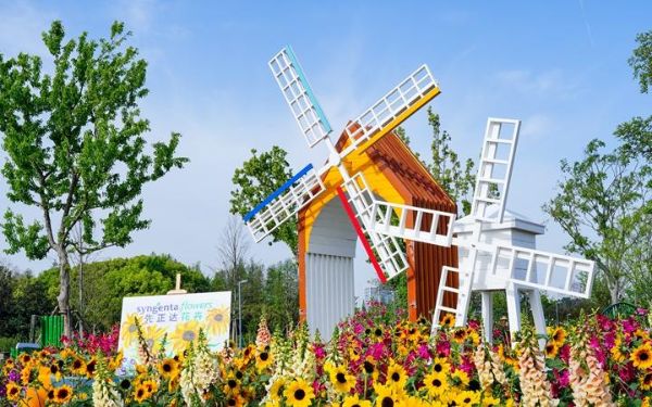 新优品种景点1.jpg 新优品种景点1.jpg