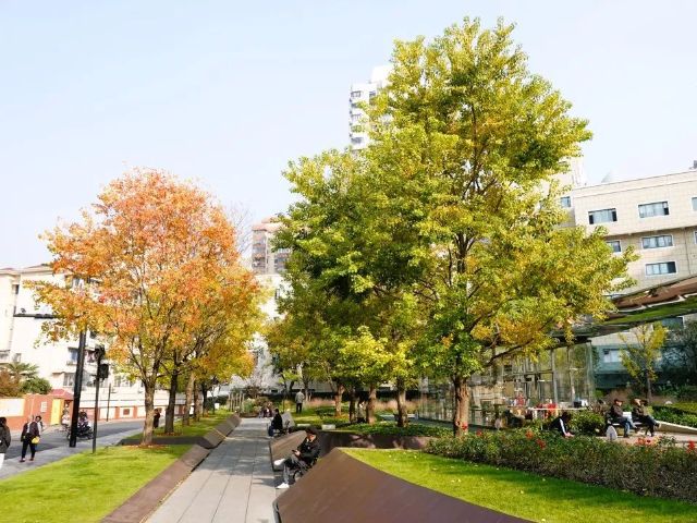 0812_141459_472.jpg 640 (8).jpg