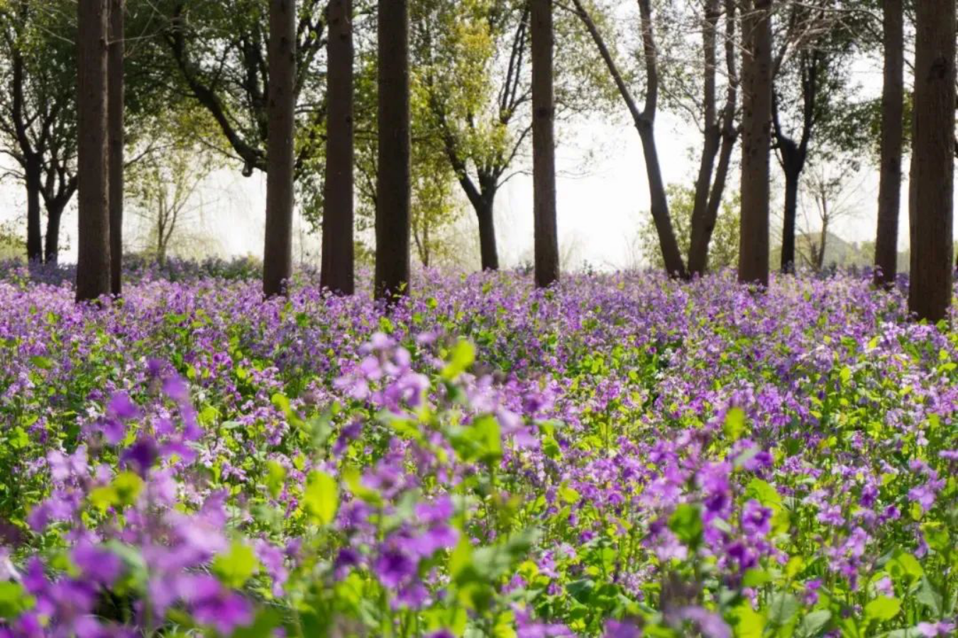 走354.png 走354.png