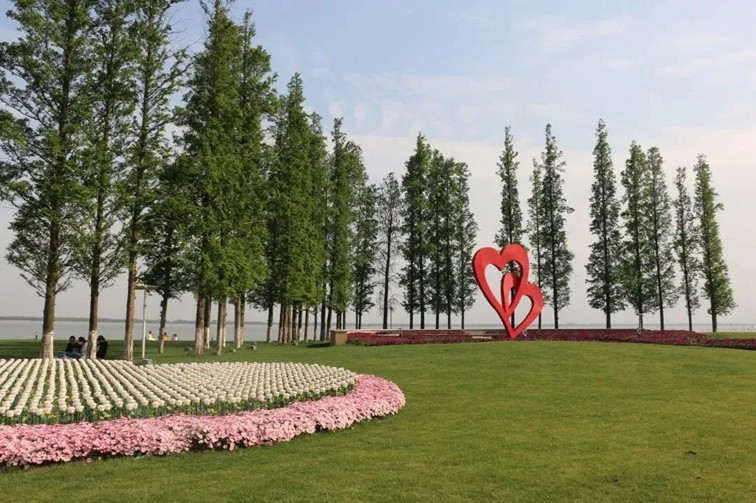 追风少年的春日漫游指南,带你邂逅青浦的N种风情! 追风少年的春日漫游指南,带你邂逅青浦的N种风情!