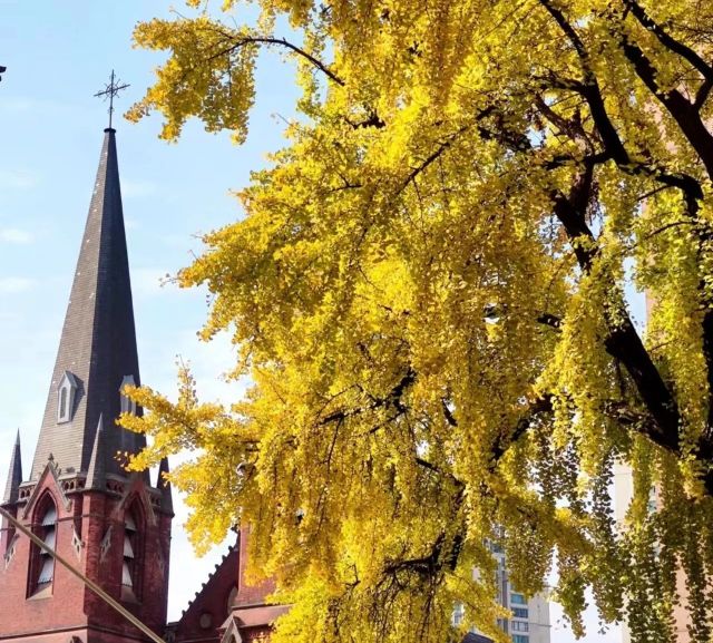 0206_140519_946.jpg 微信图片_2025-02-06_104943_751.png