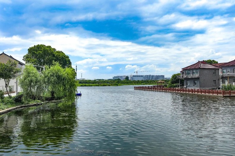 江南春景水一半，12处小流域绘青浦生态美域