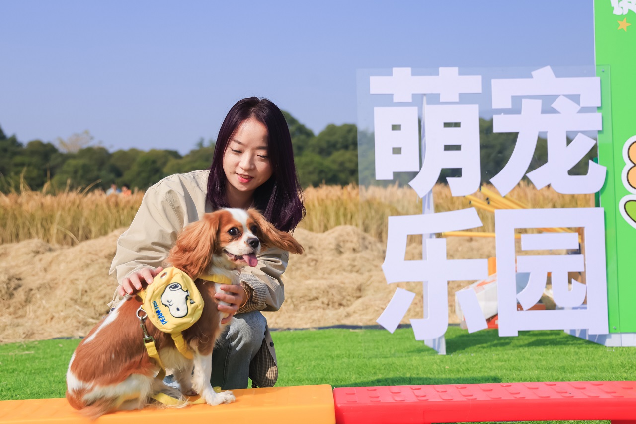 宠物运动会.jpg