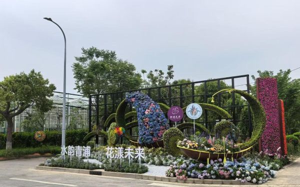 青浦.jpg 青浦.jpg